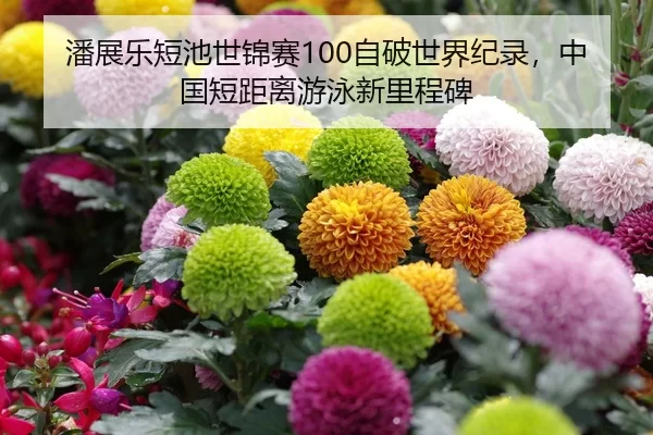 潘展乐短池世锦赛100自破世界纪录，中国短距离游泳新里程碑