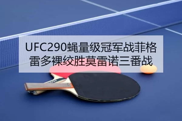 ying-liang-ji-guan-jun-zhan-fei-ge-lei-duo-luo-jiao-sheng-mo-lei-nuo-san-fan-zhan-3-620.jpg