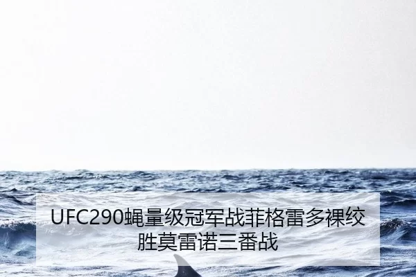 UFC290蝇量级冠军战菲格雷多裸绞胜莫雷诺三番战